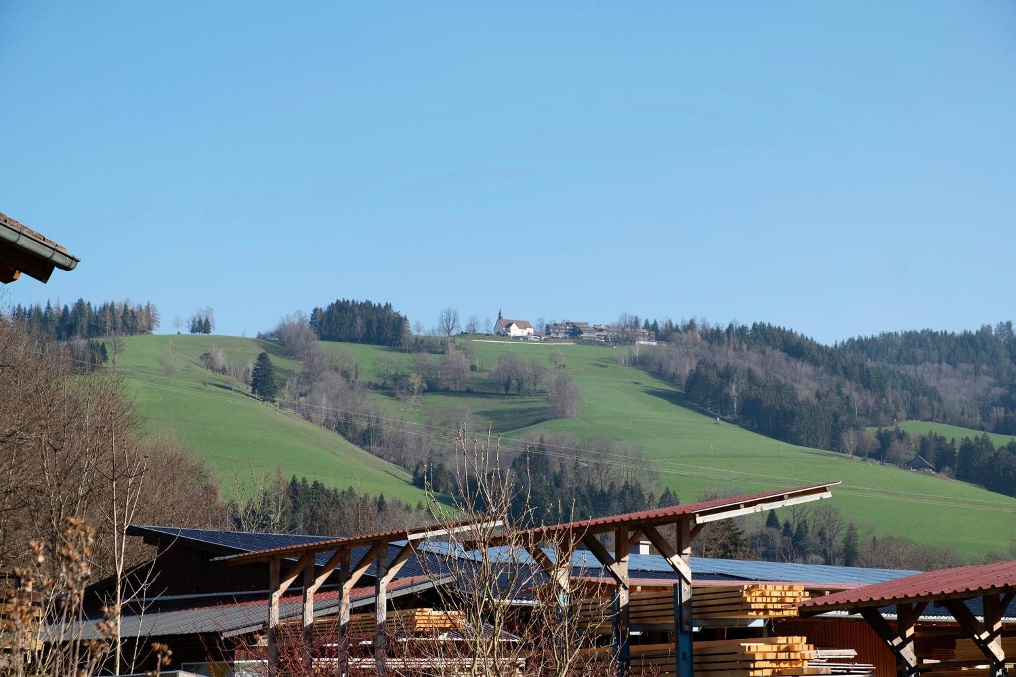 Ruhige Schwarzwald Ferienwohnung Buchenbach  Экстерьер фото